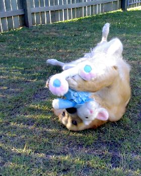 Savageing the poor easter Bunny
