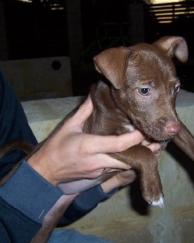 Gnarlee, our first night together