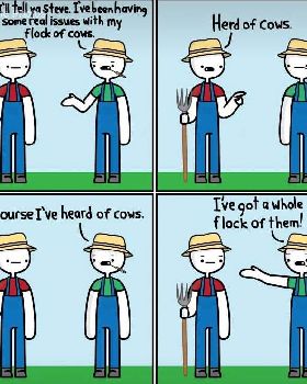 herd of cows