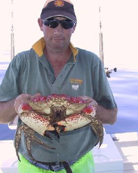 just something to do in tassie