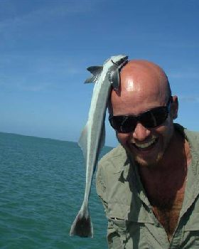 a remora with a wierd growth