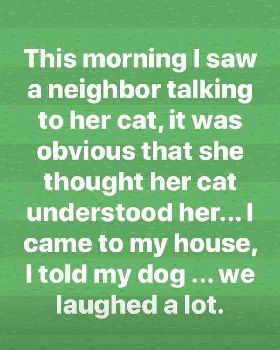 cat dog talk