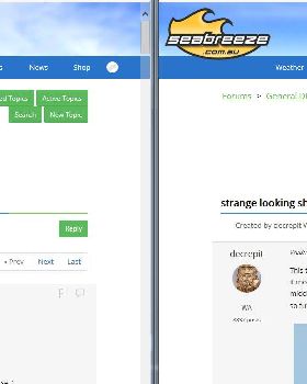 FOGoogleAds2