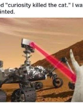 curiosity killed the cat