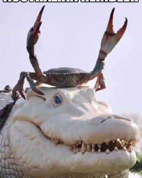 oz reindeer