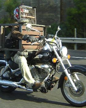 Bike BBQ