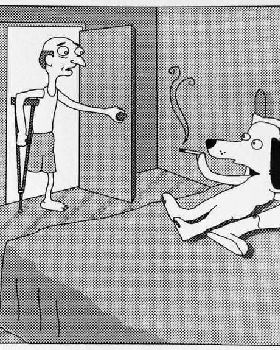 dog leg