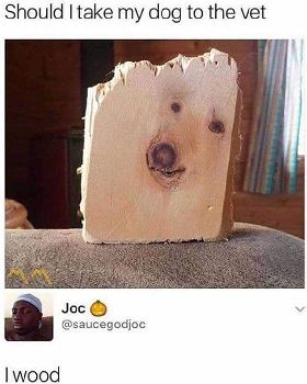 FB IMG 1547385596226