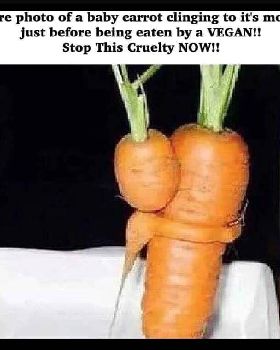 Baby carrot