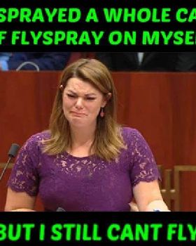 SHY cant fly
