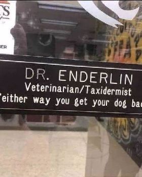 vet taxi