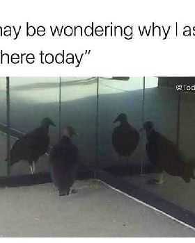 20190225 081617