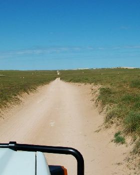 Drive up a few sand tracks