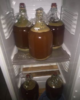 brew2