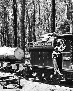 Timber trains in Manjimup Pemberton area