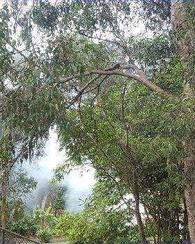 Smoke 7 Jul 2019