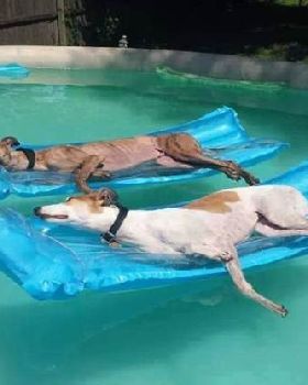 daily picdump 3202 640 16