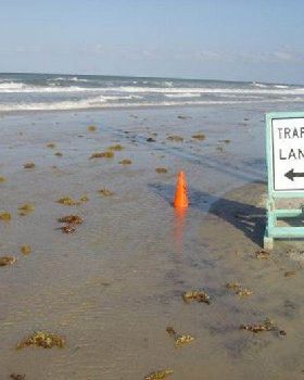 weird signs 12