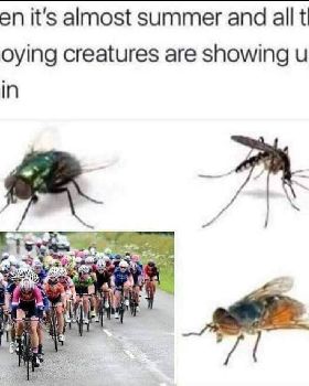 annoying