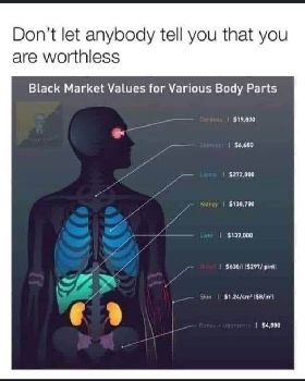 body parts