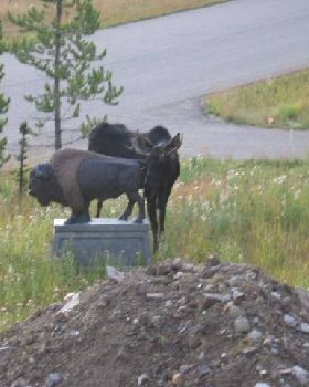 Is this what you call STATUEtory RAPE ?? 