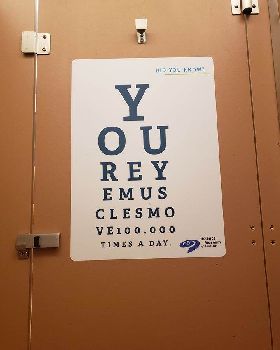 eye muscles