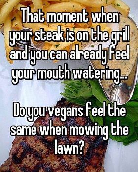 steak