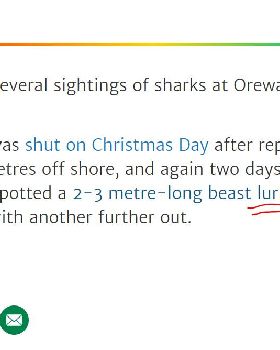 lurking shark