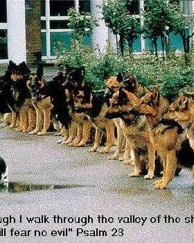 Bravery