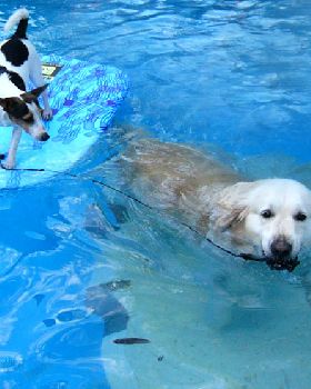 Rescue