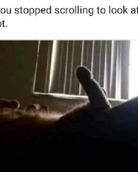 Cats Foot