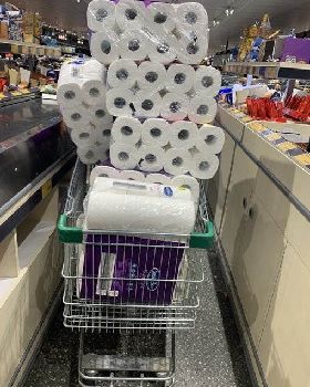 Toilet paper A