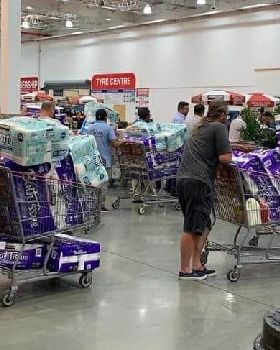 Toilet paper C