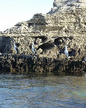 Safety Bay - Western Australia 13th April 2008