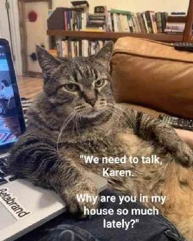 56115-we-need-to-talk-karen-why-are-you-in-my-house-so-much-lately