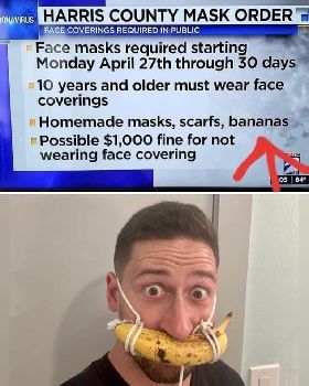 bananas