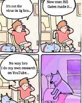 1a sheeple 1