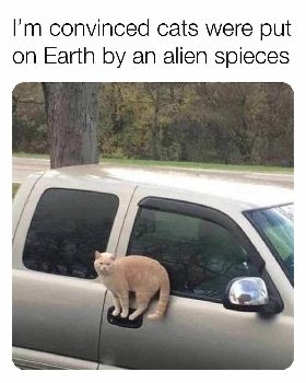 FBIMG1595274767105
