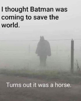 1a batman