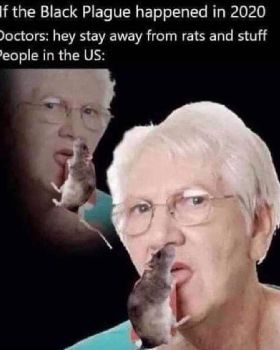 FBIMG1602659177620