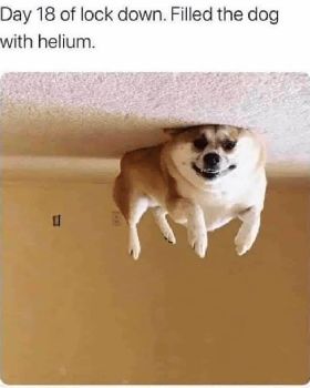 FBIMG1607689417459