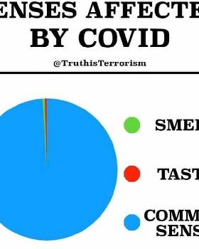 FBIMG1609104016818