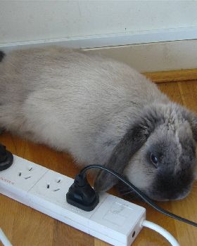Knuspi