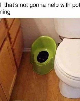 potty