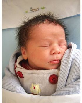 grandson no 2