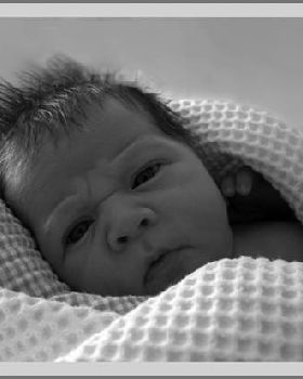 grandson no 2