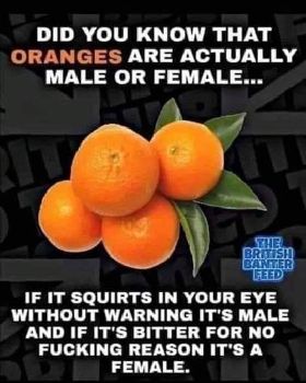 FBIMG1615732110614