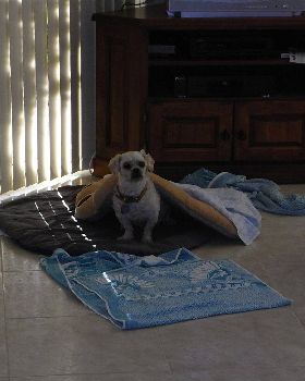 Max before...