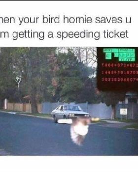 FBIMG1621917428330
