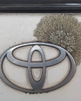 Camry1